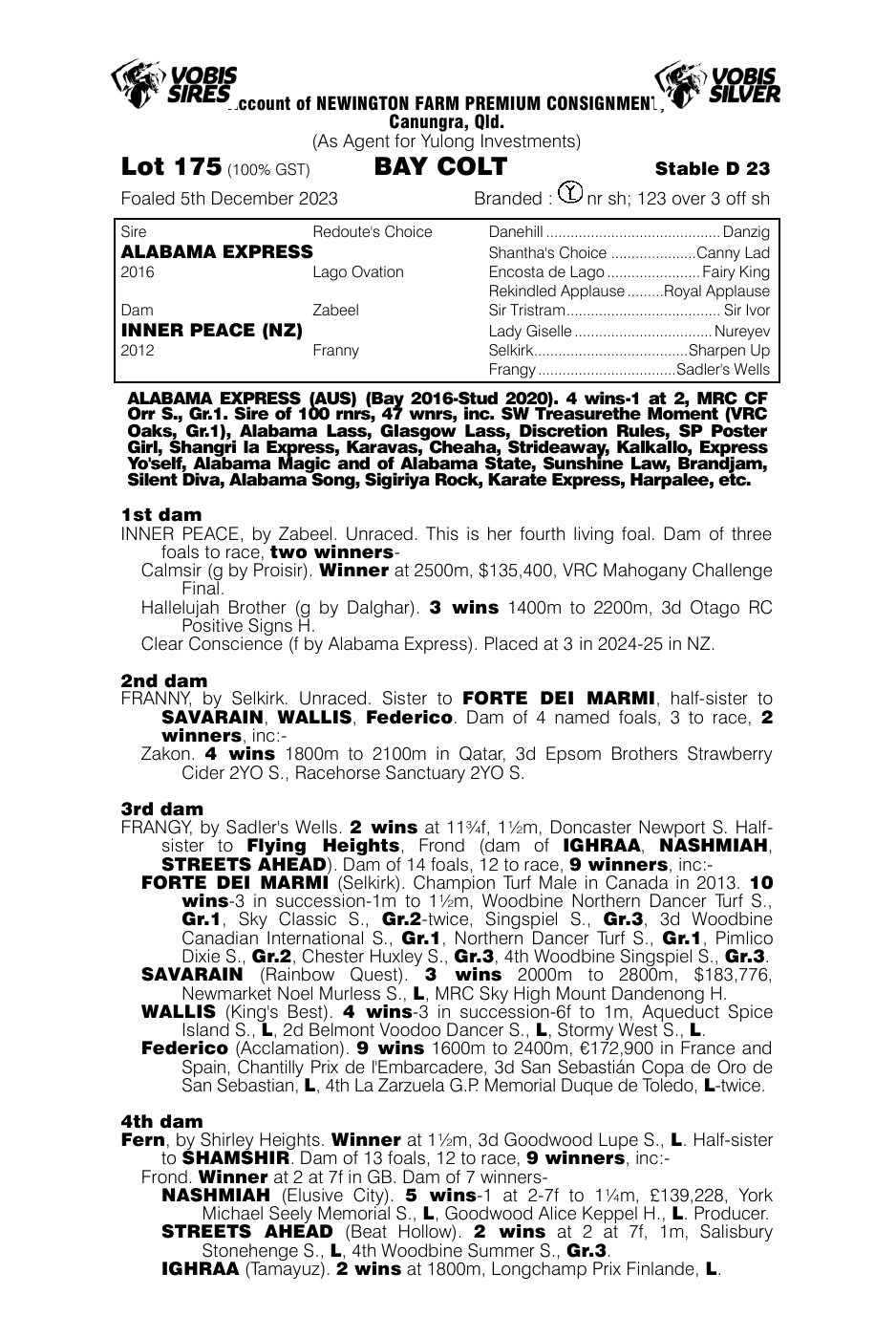 Pedigree - Lot 175