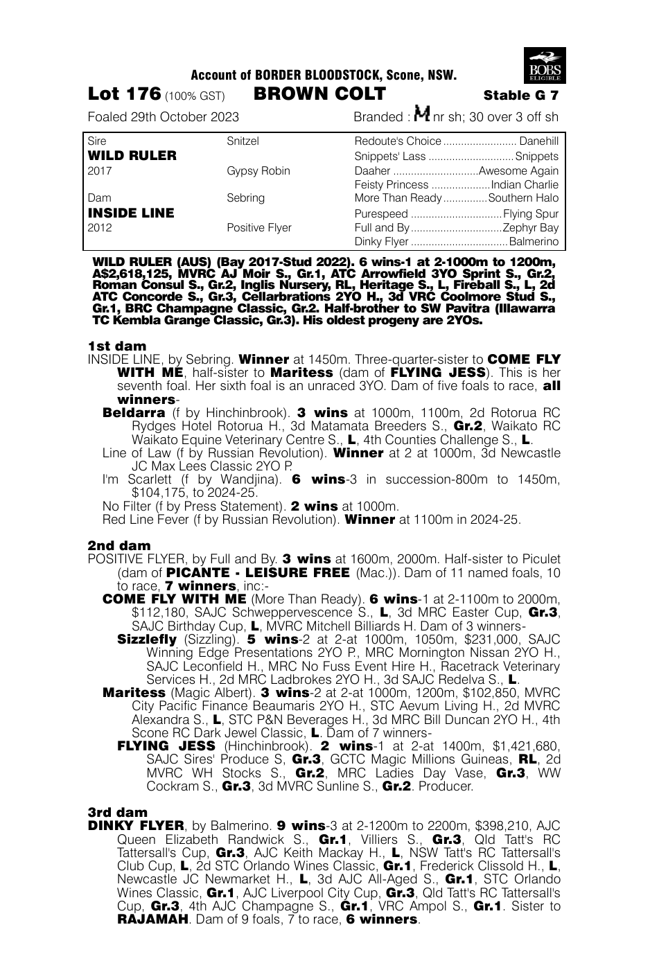Pedigree - Lot 176