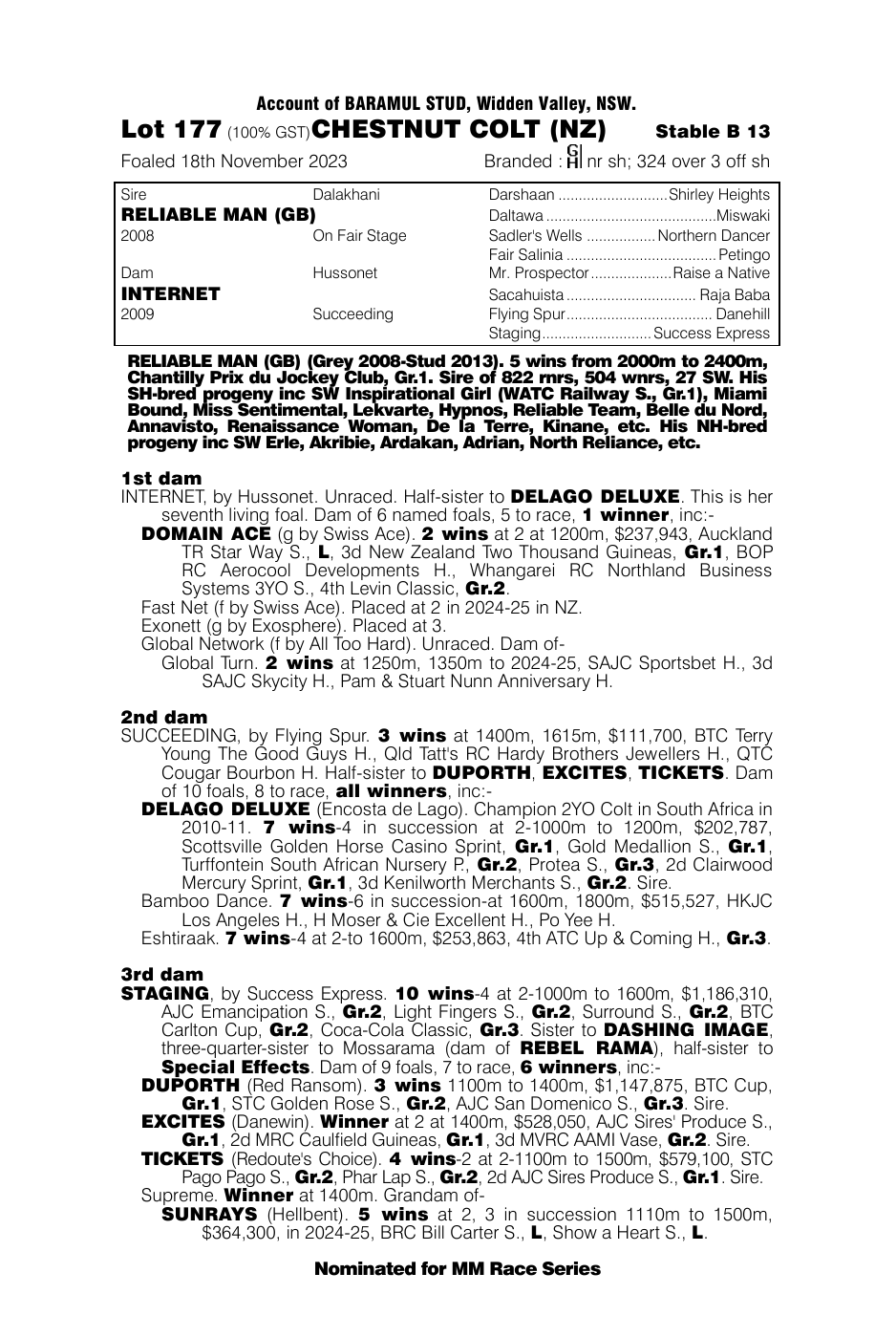 Pedigree - Lot 177