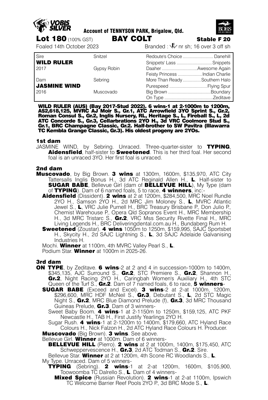 Pedigree - Lot 180