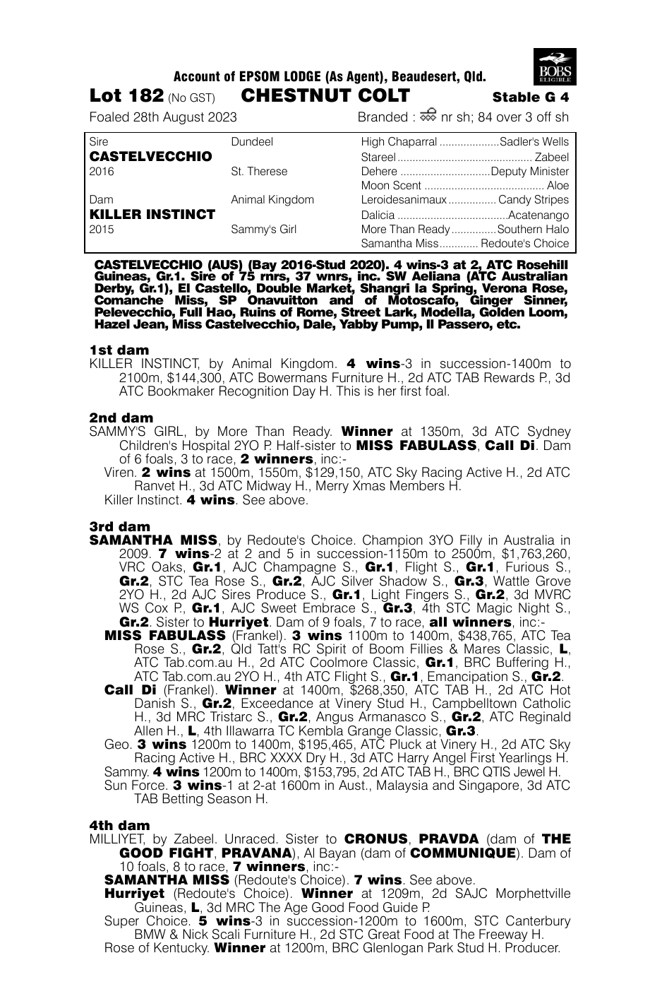 Pedigree - Lot 182