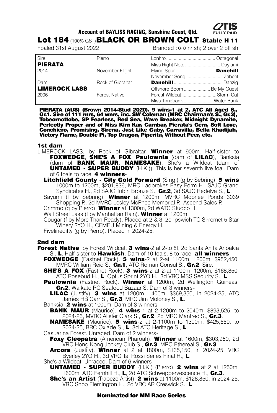 Pedigree - Lot 184