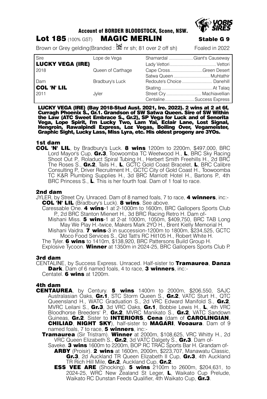 Pedigree - Lot 185