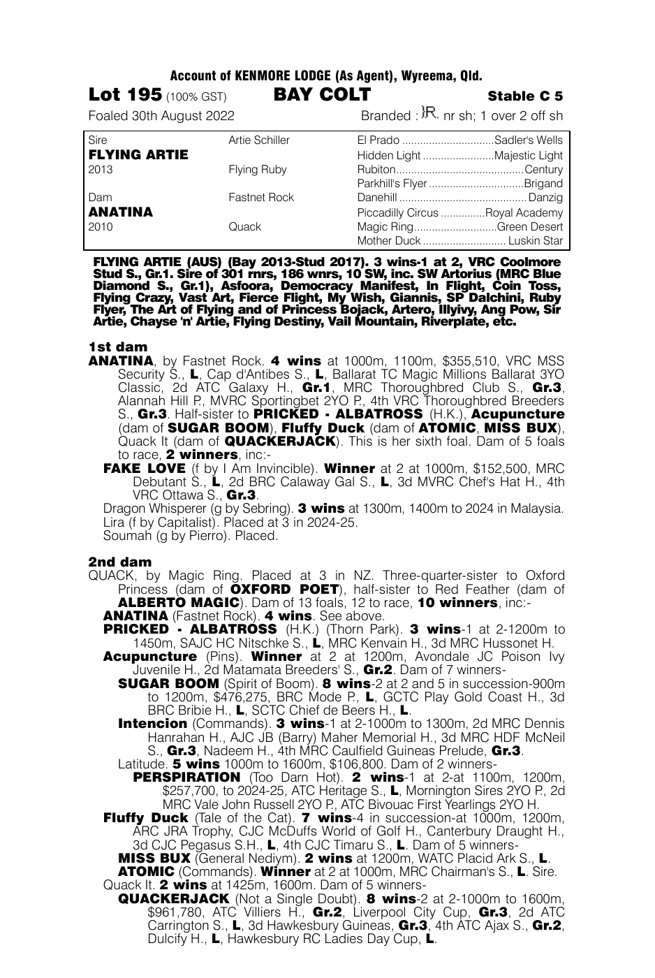 Pedigree - Lot 195