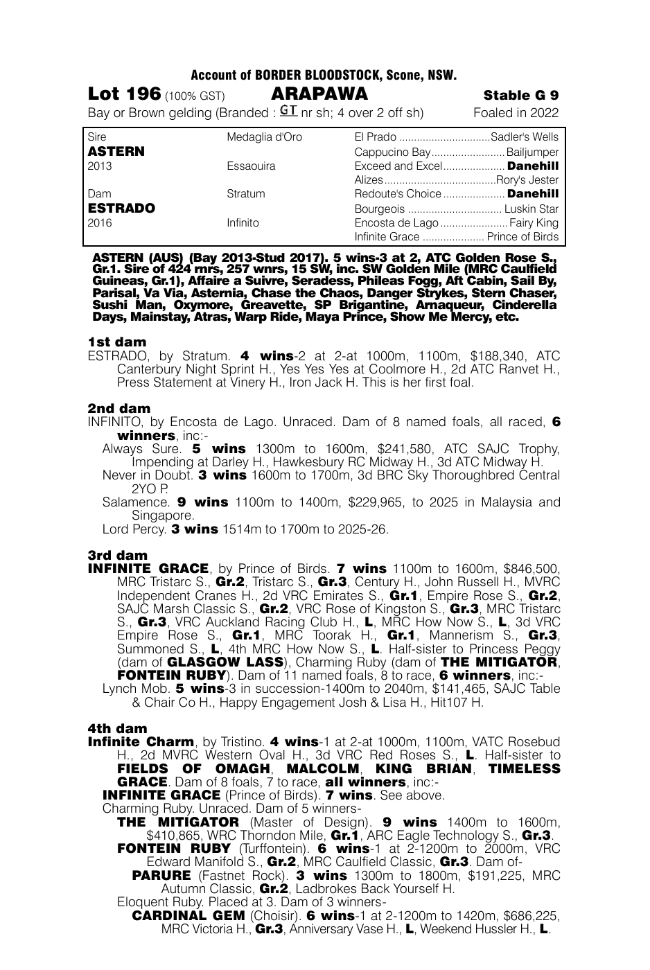 Pedigree - Lot 196