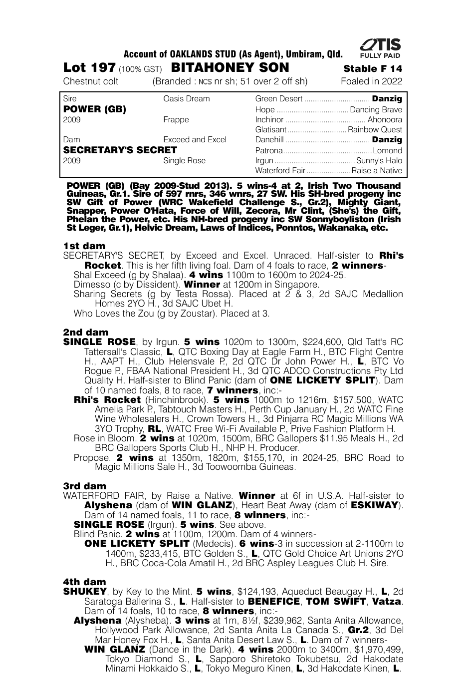 Pedigree - Lot 197