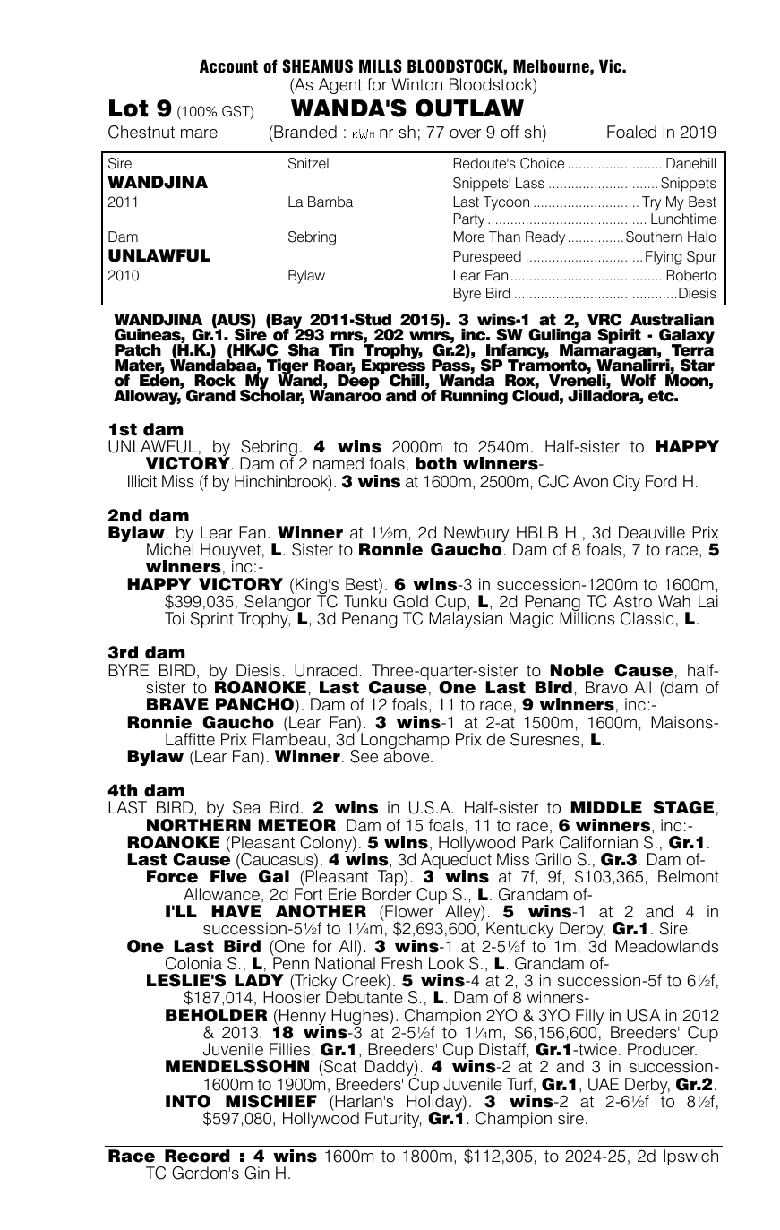 Pedigree - Lot 9