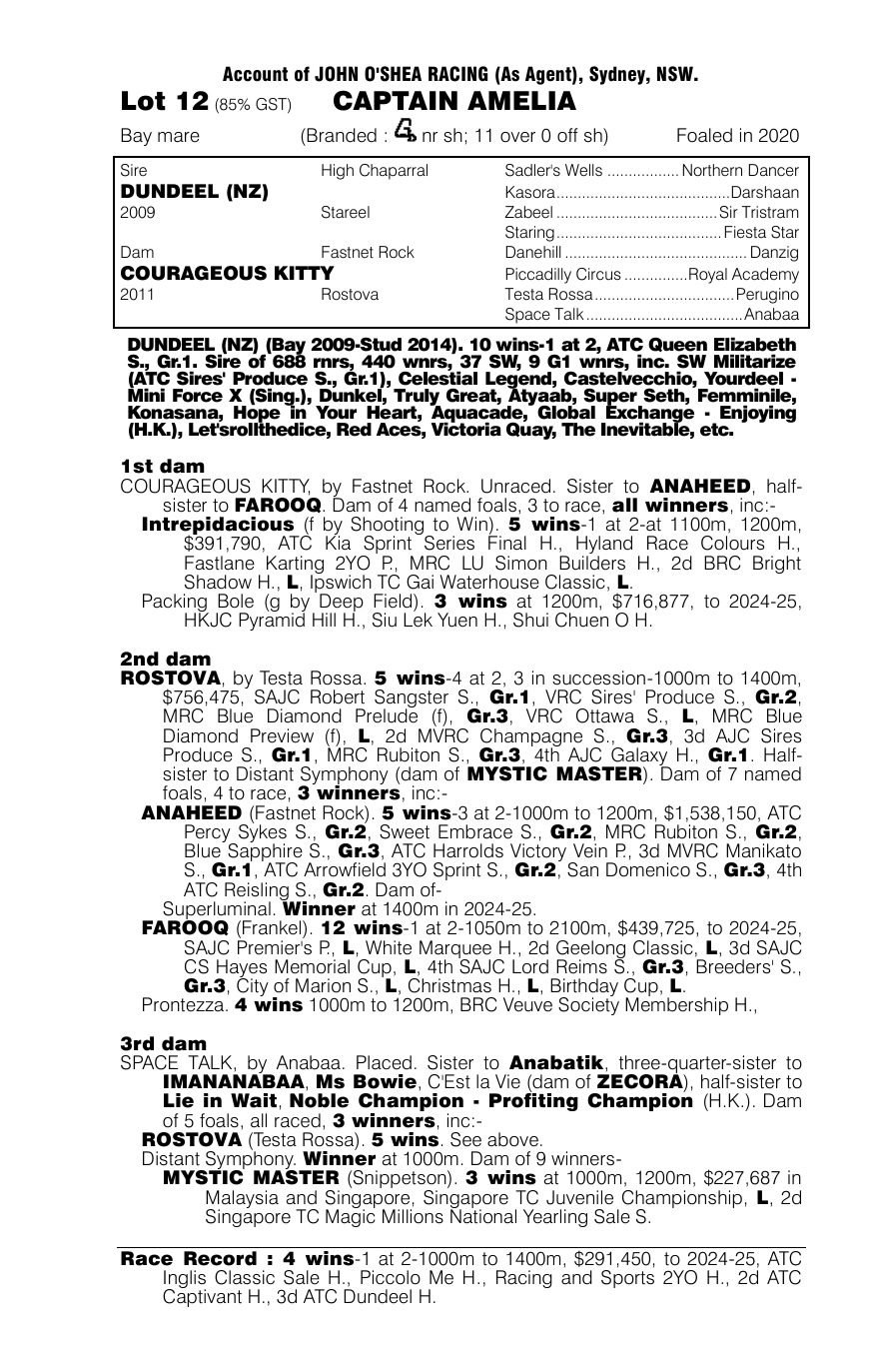 Pedigree - Lot 12