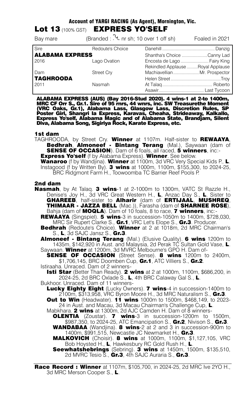 Pedigree - Lot 13