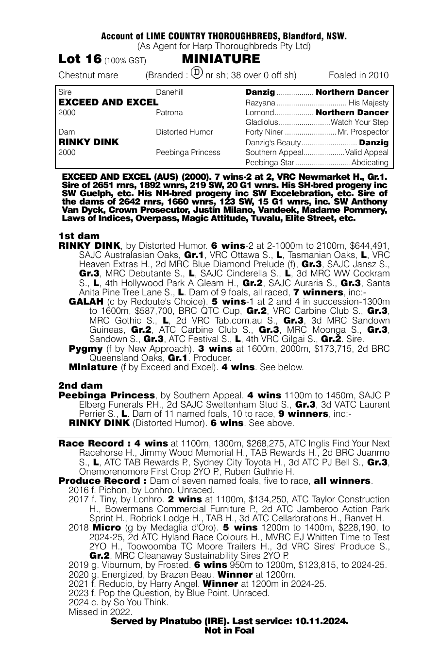 Pedigree - Lot 16