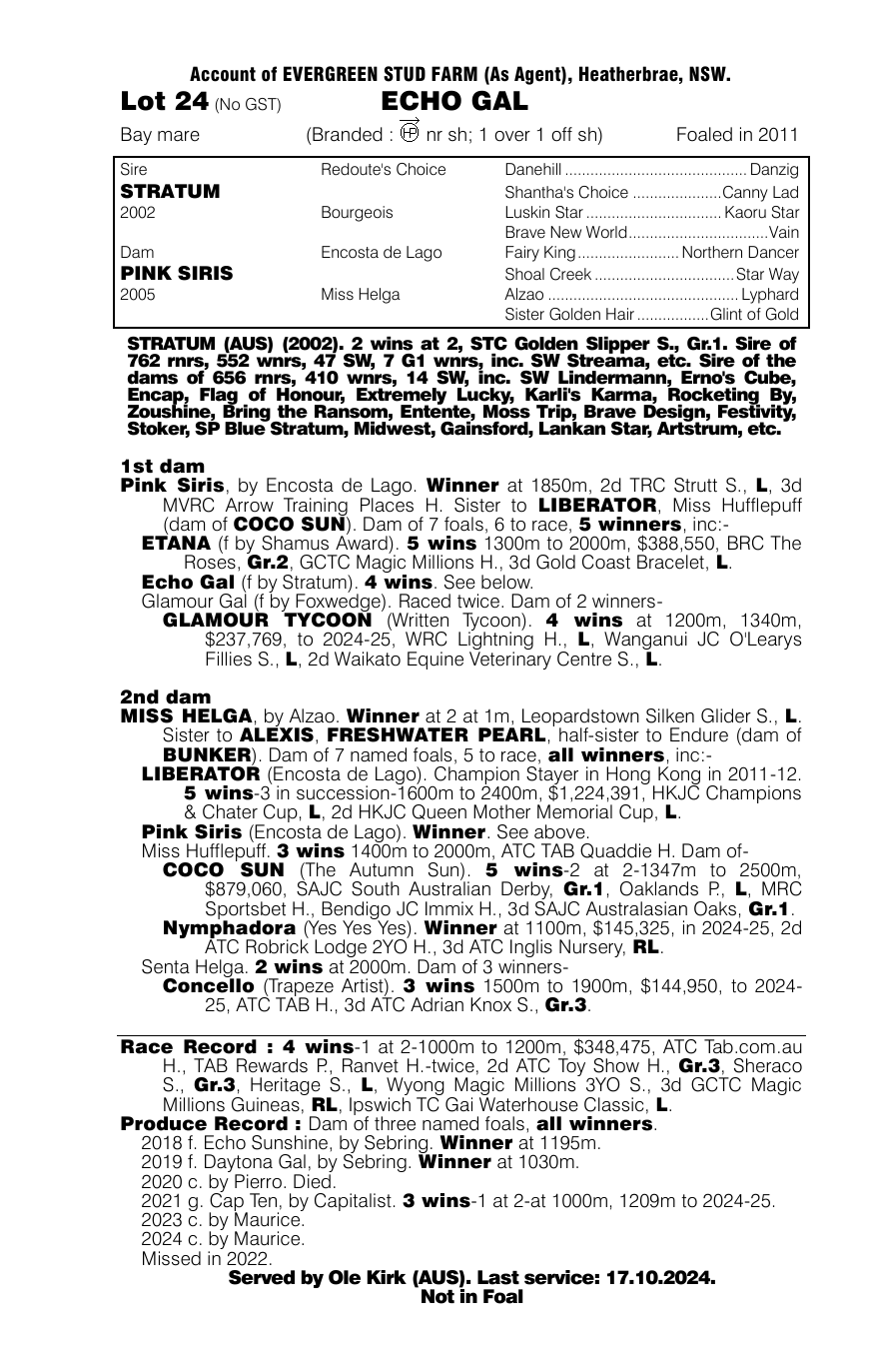 Pedigree - Lot 24