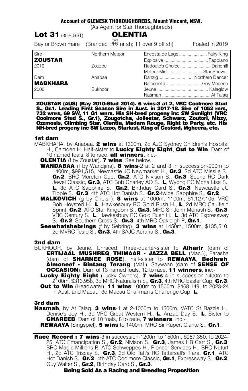 Pedigree - Lot 31
