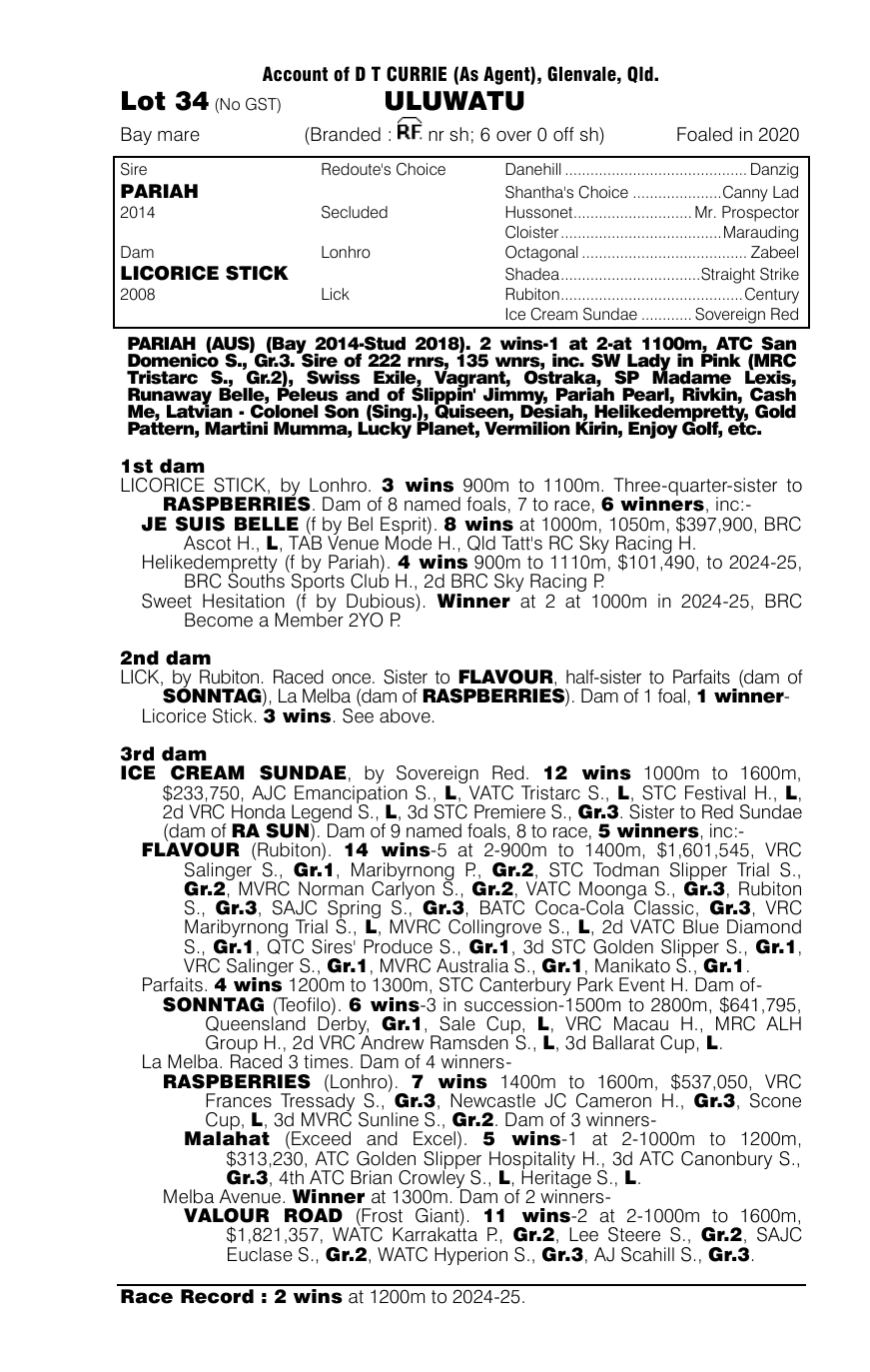 Pedigree - Lot 34