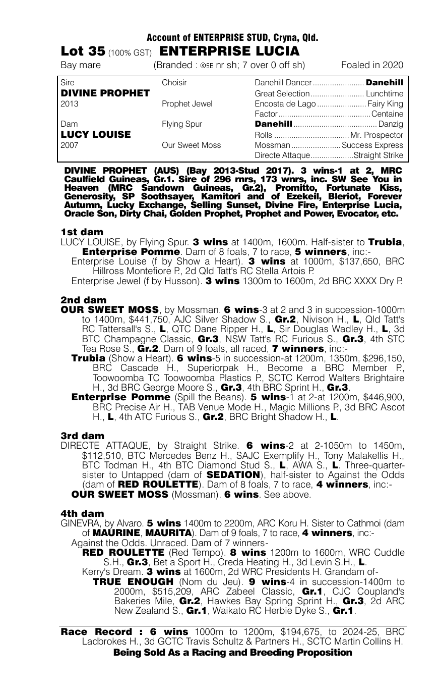 Pedigree - Lot 35