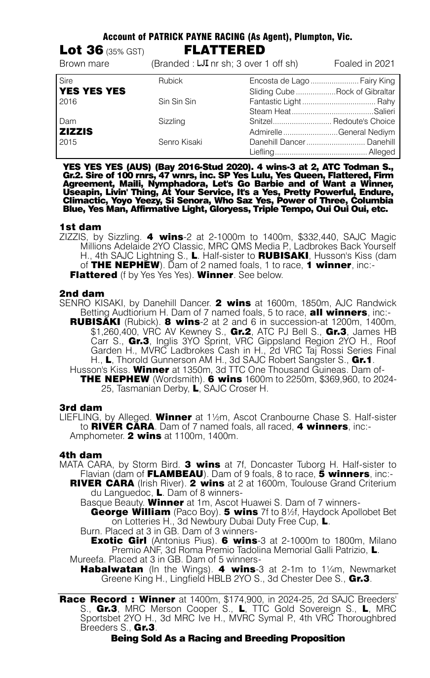 Pedigree - Lot 36
