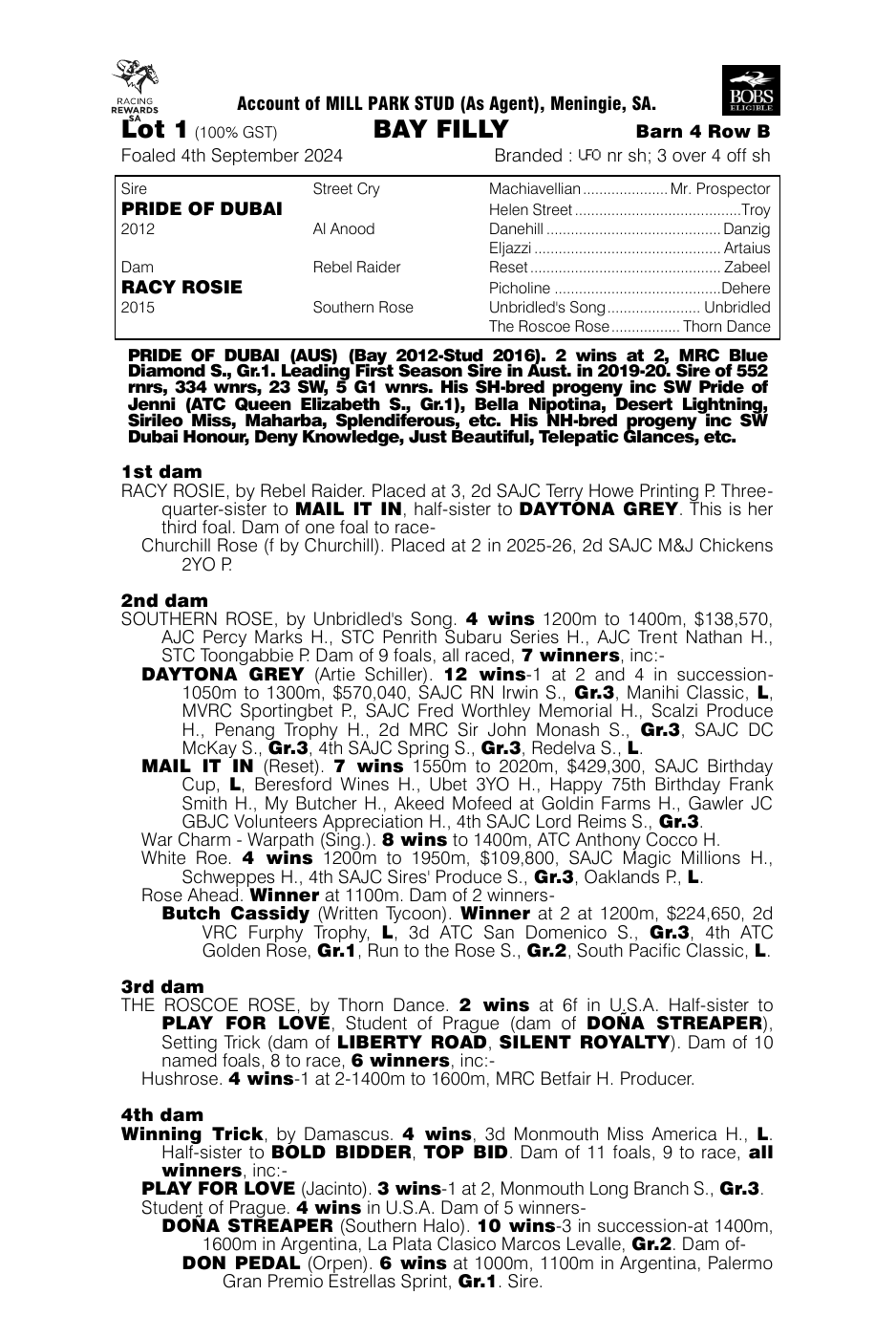 Pedigree - Lot 1