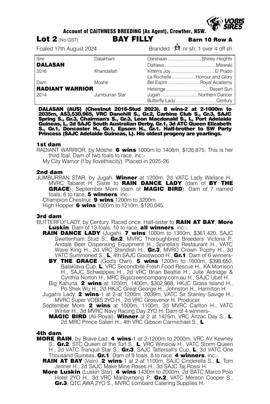 Pedigree - Lot 2