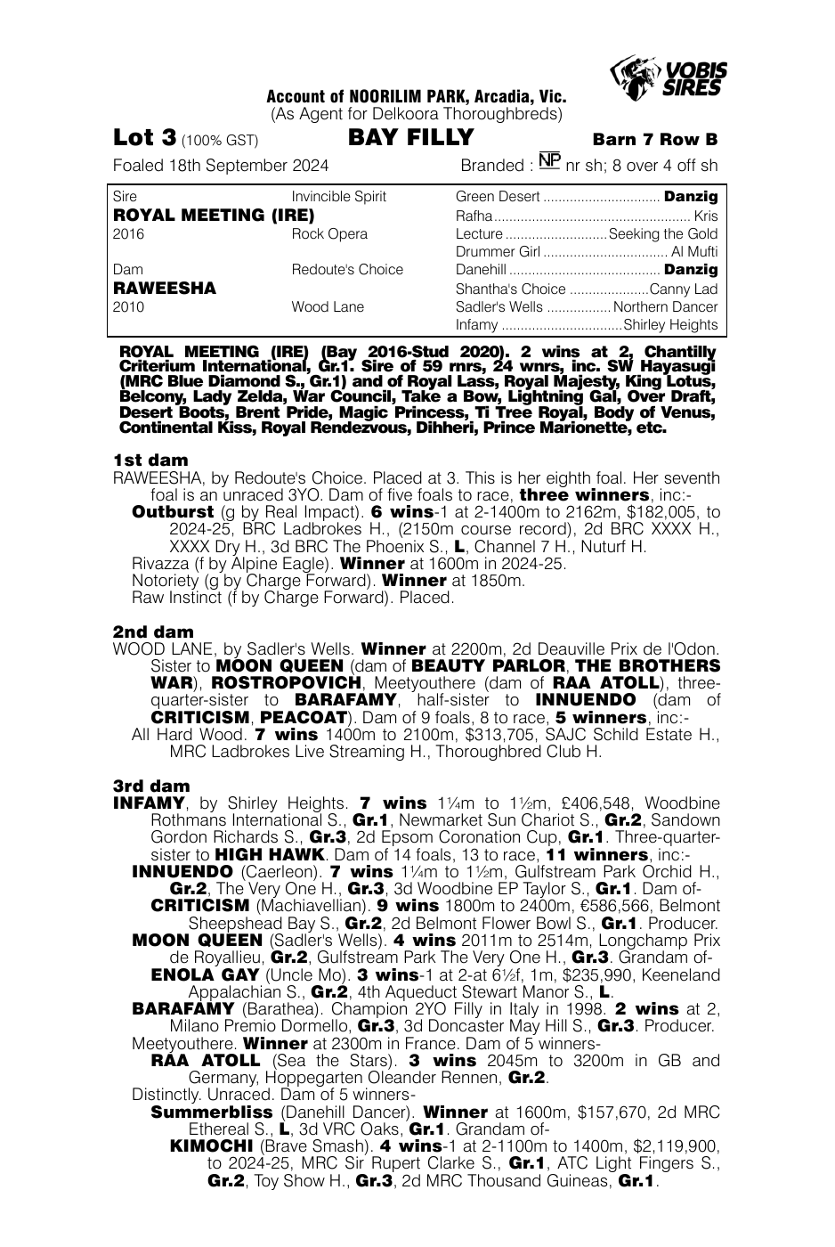 Pedigree - Lot 3