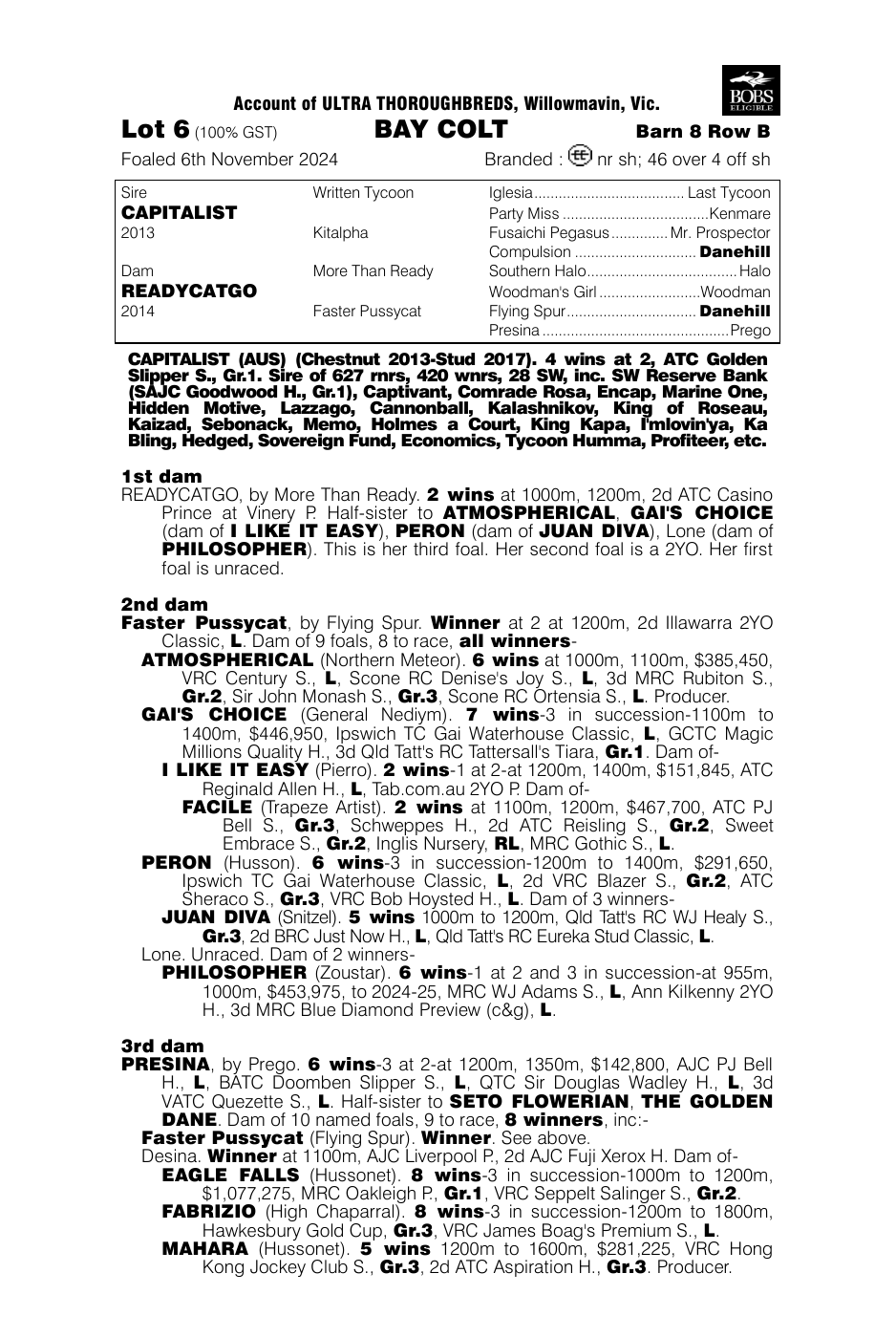 Pedigree - Lot 6