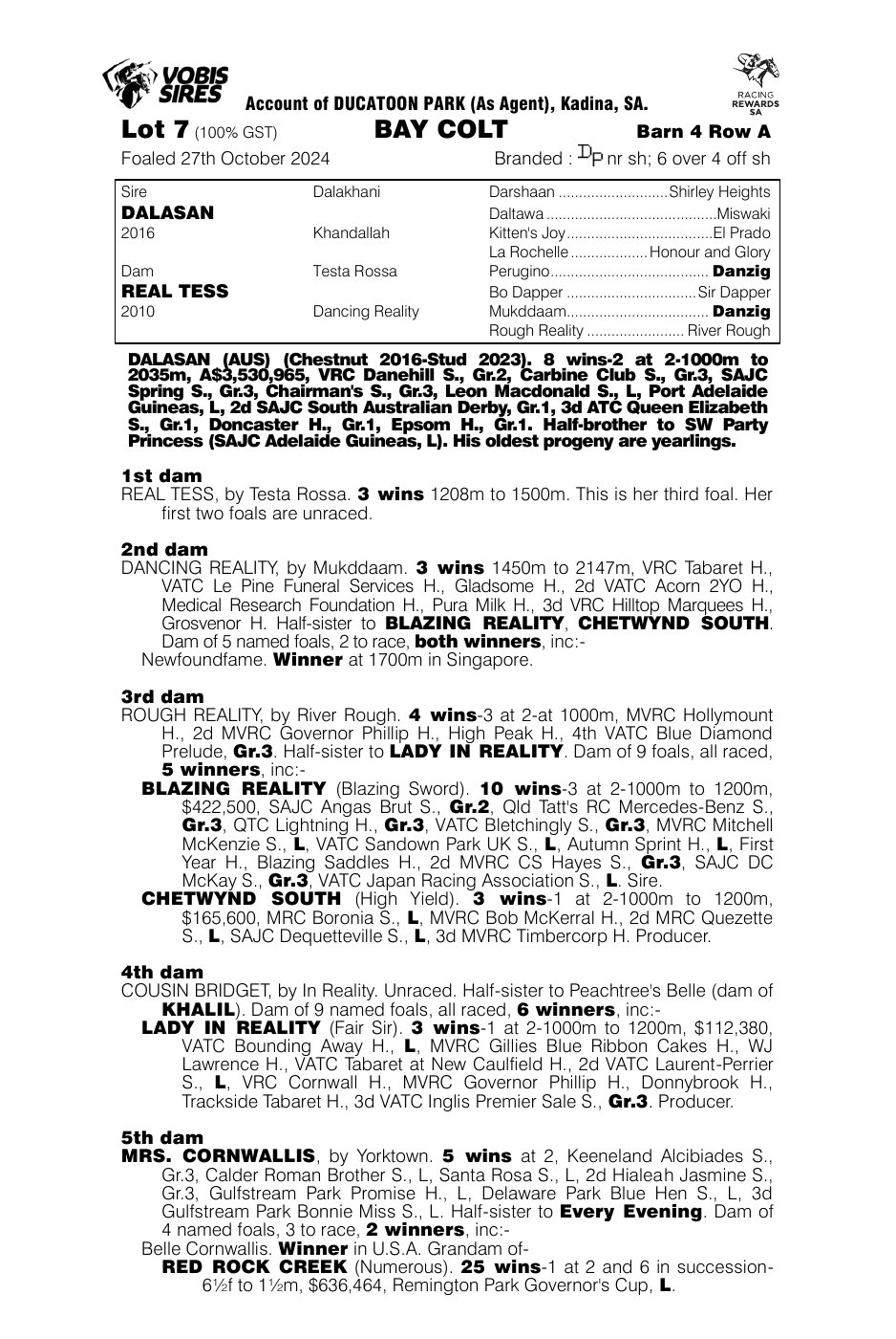 Pedigree - Lot 7