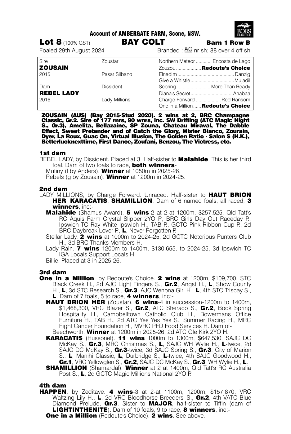Pedigree - Lot 8