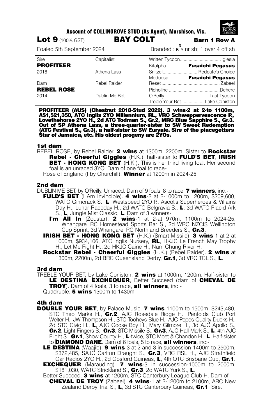 Pedigree - Lot 9