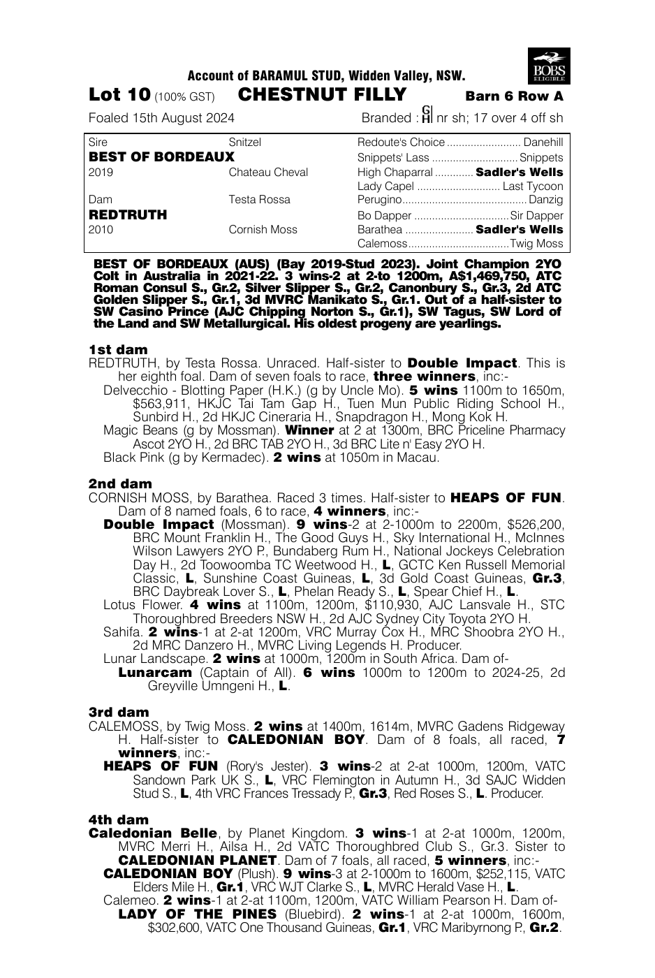 Pedigree - Lot 10