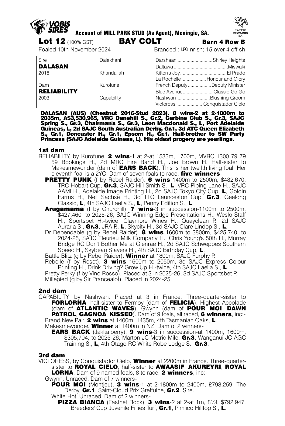 Pedigree - Lot 12