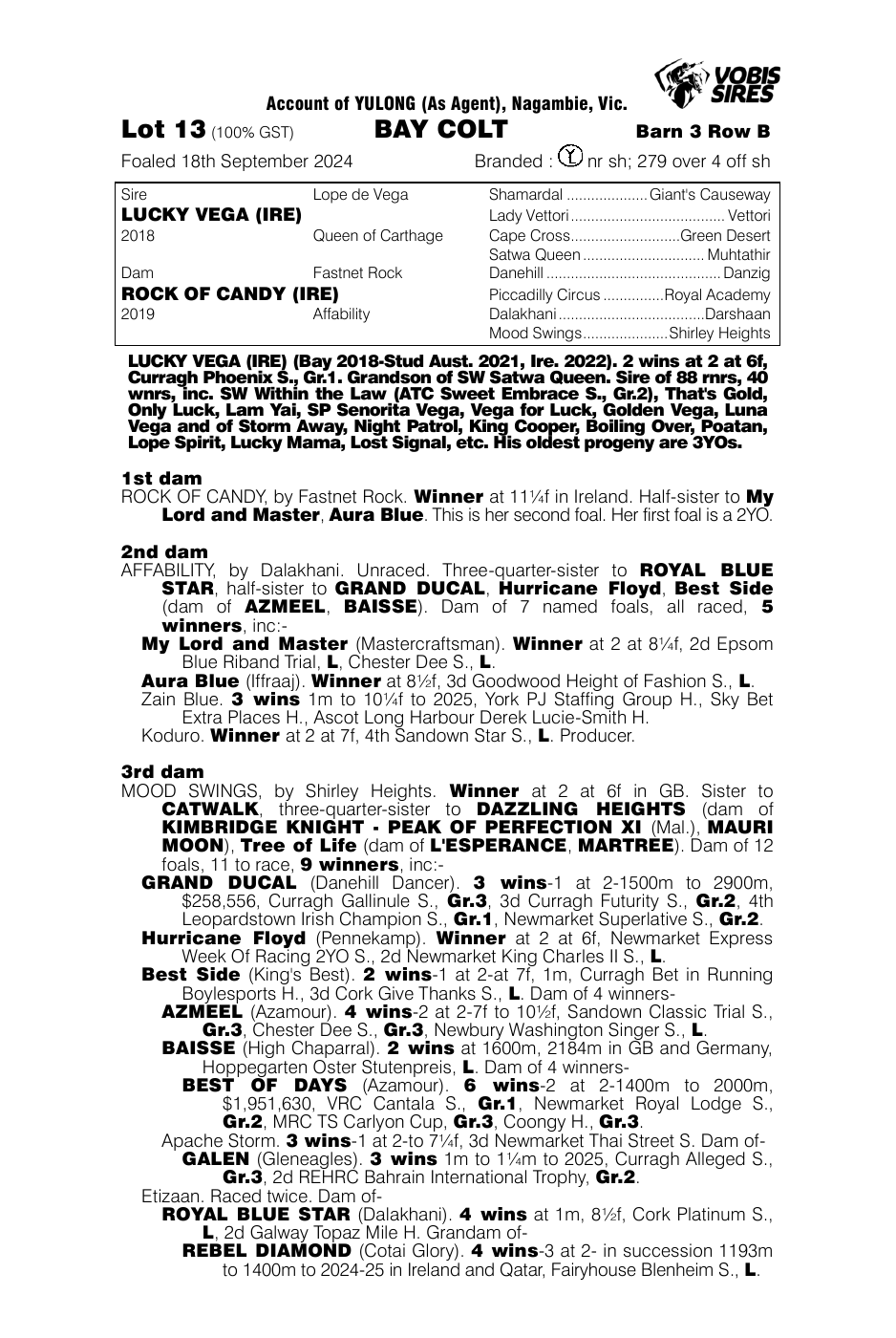 Pedigree - Lot 13