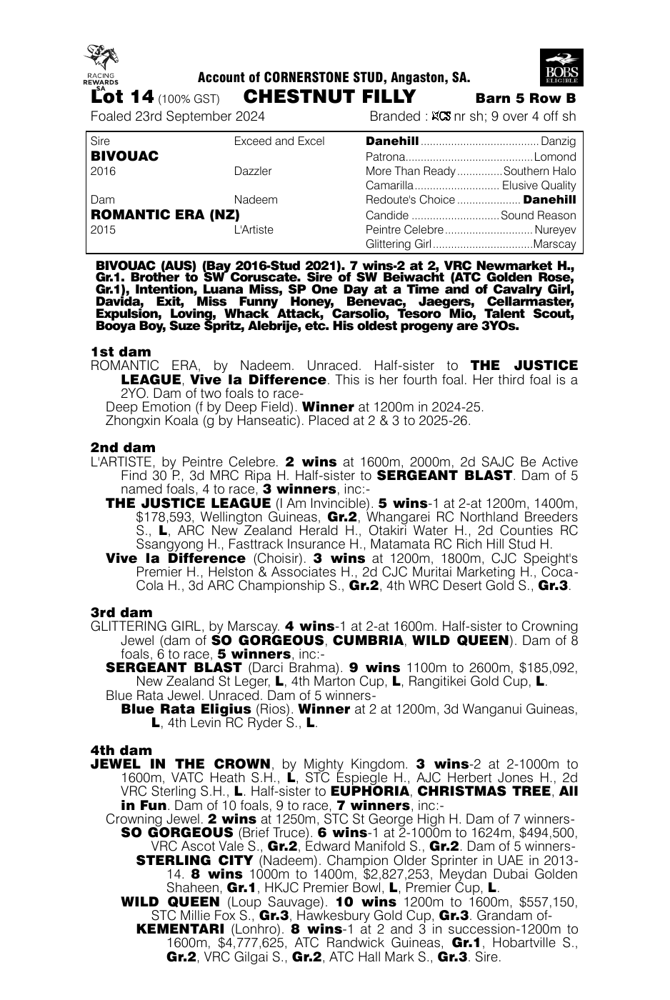 Pedigree - Lot 14