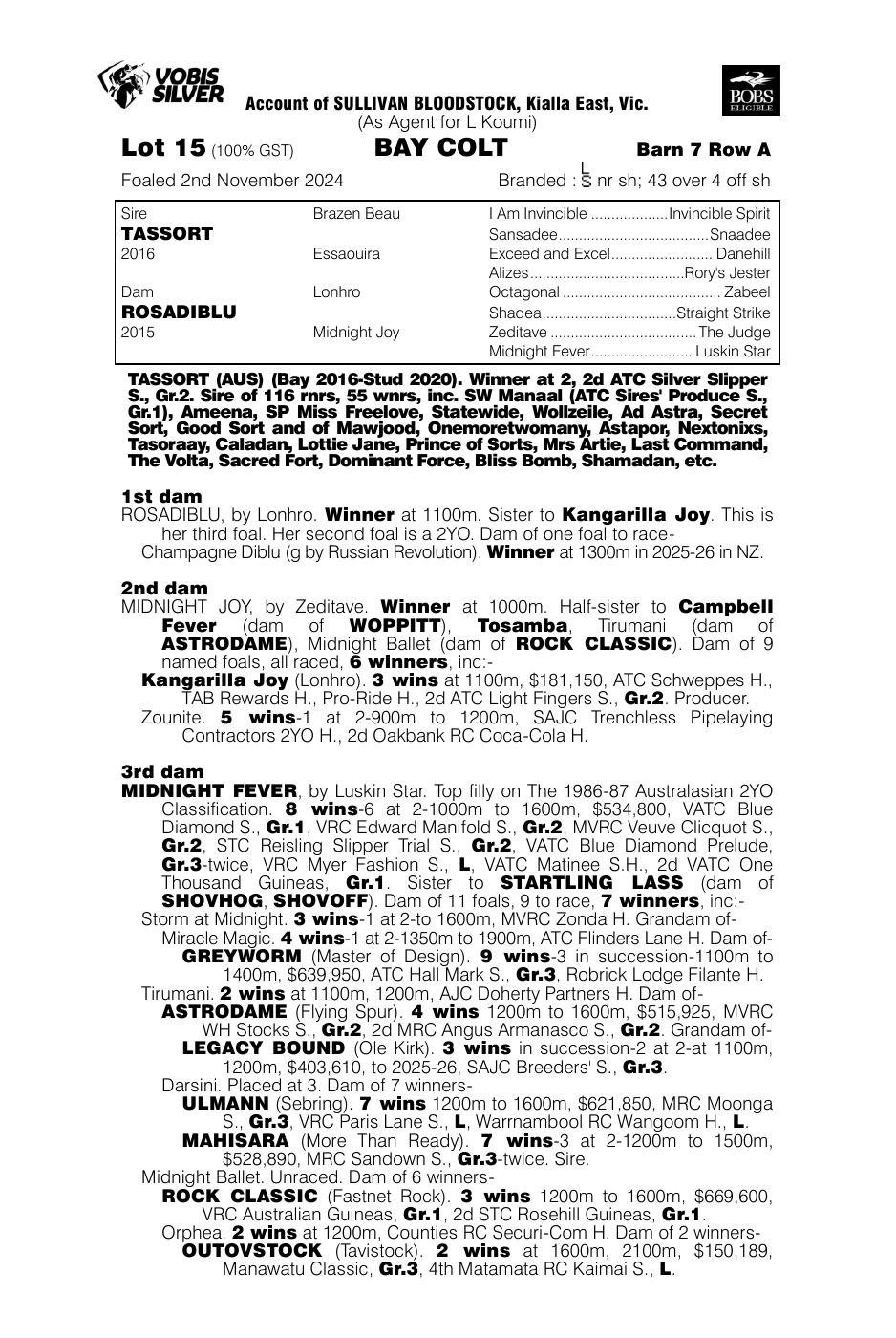 Pedigree - Lot 15