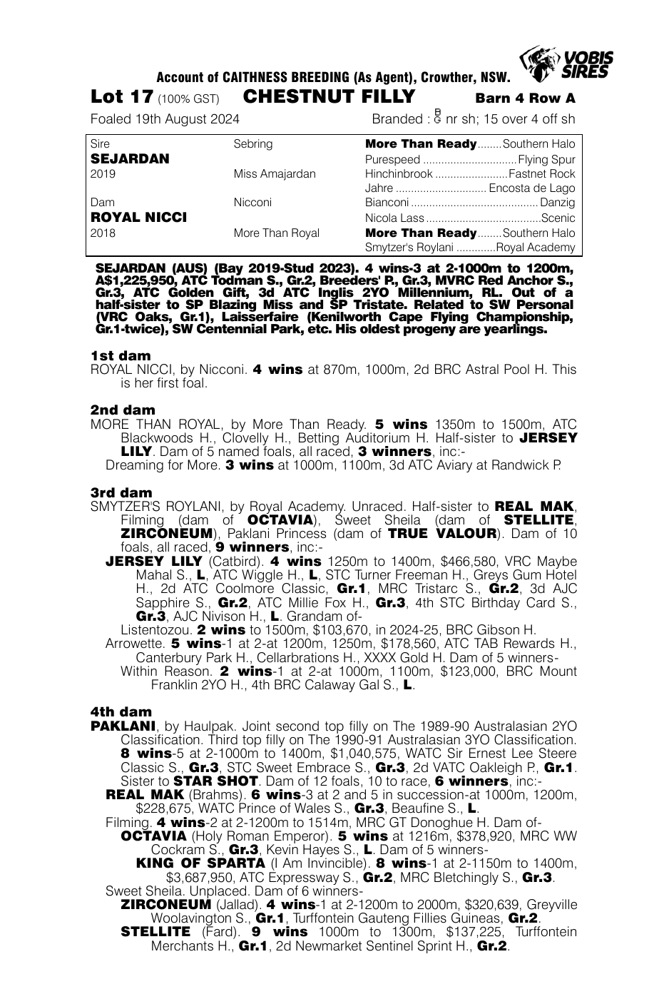 Pedigree - Lot 17