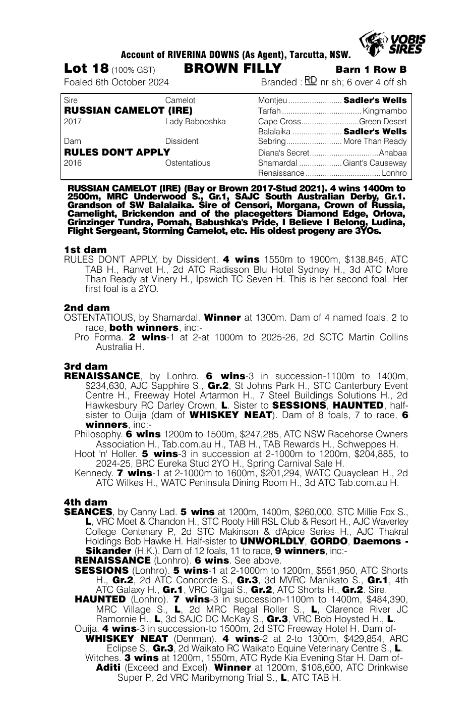 Pedigree - Lot 18