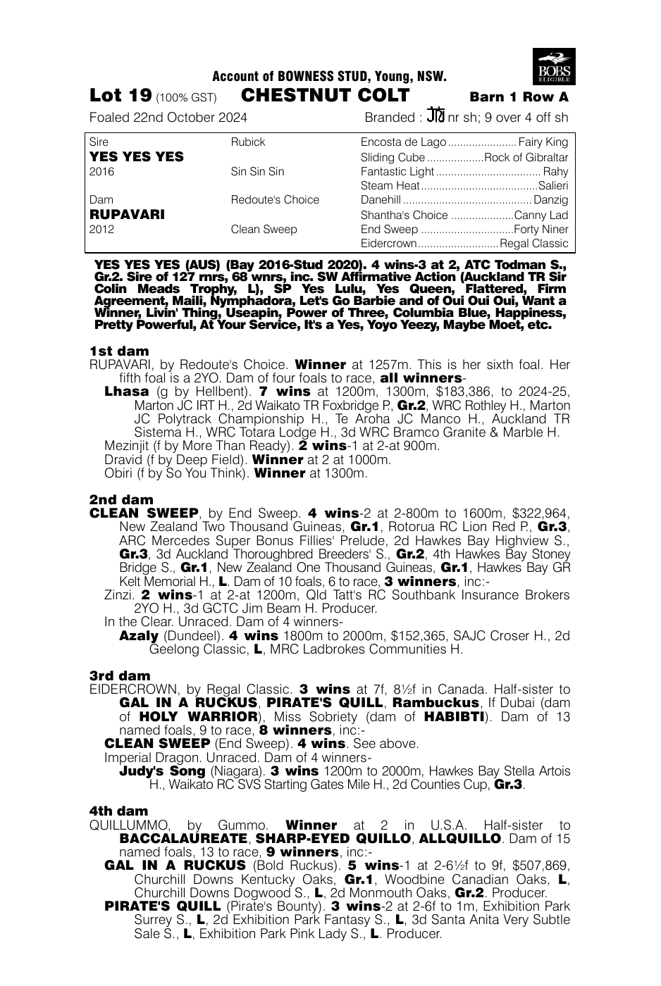 Pedigree - Lot 19