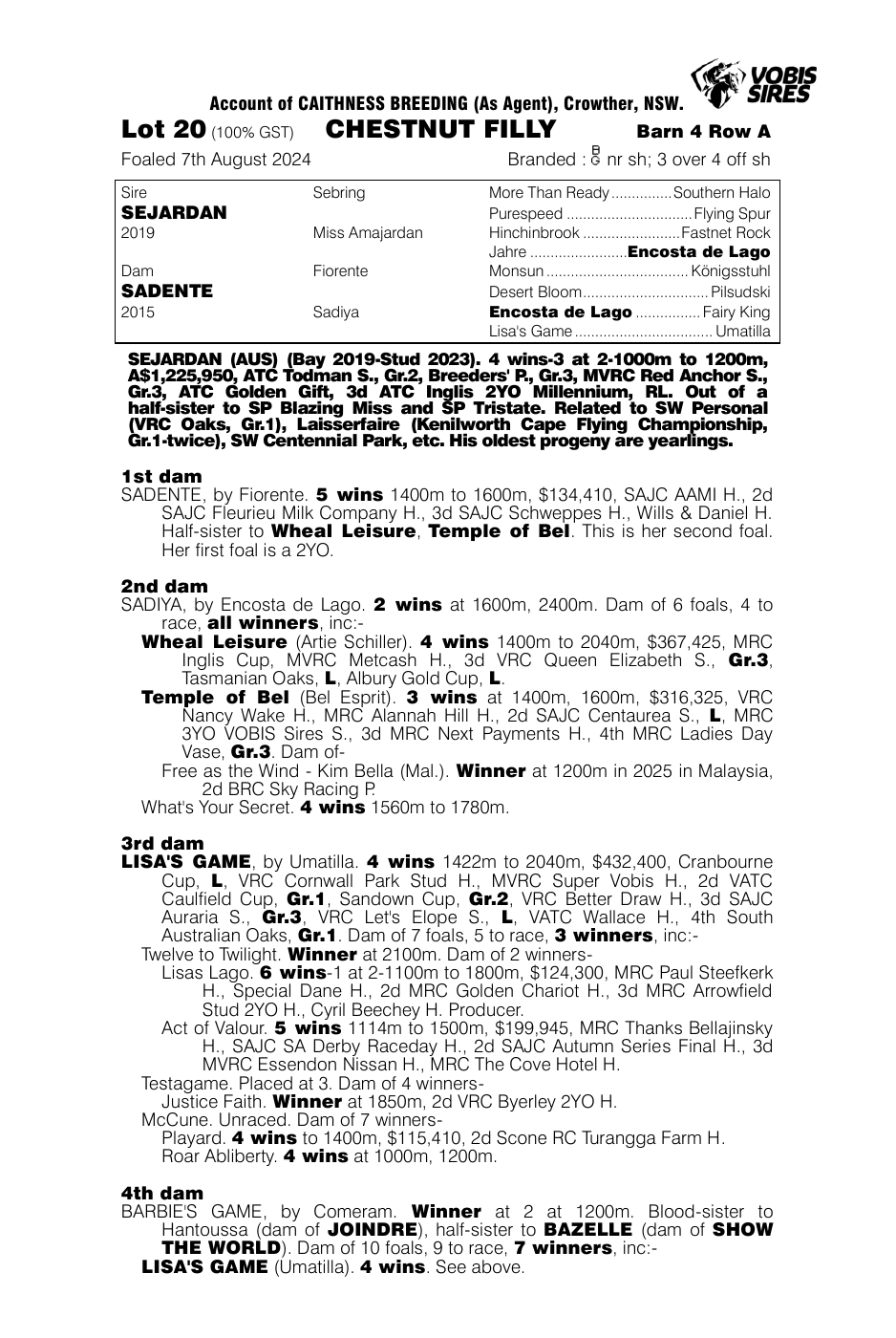 Pedigree - Lot 20