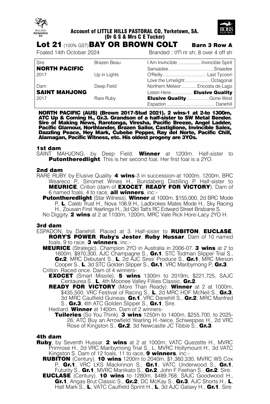 Pedigree - Lot 21