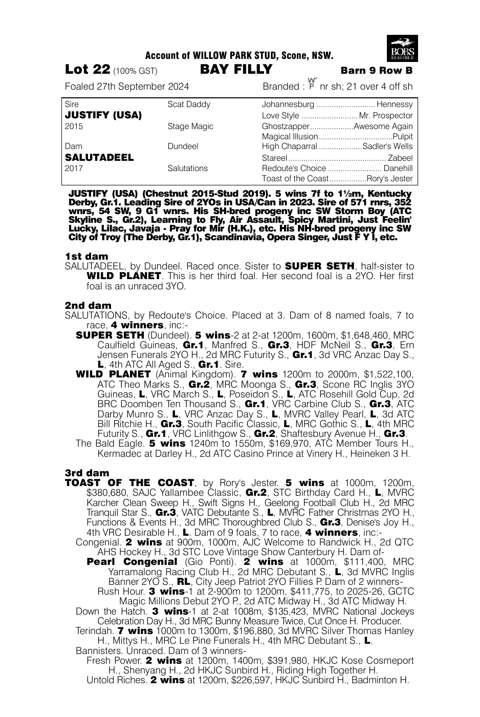 Pedigree - Lot 22