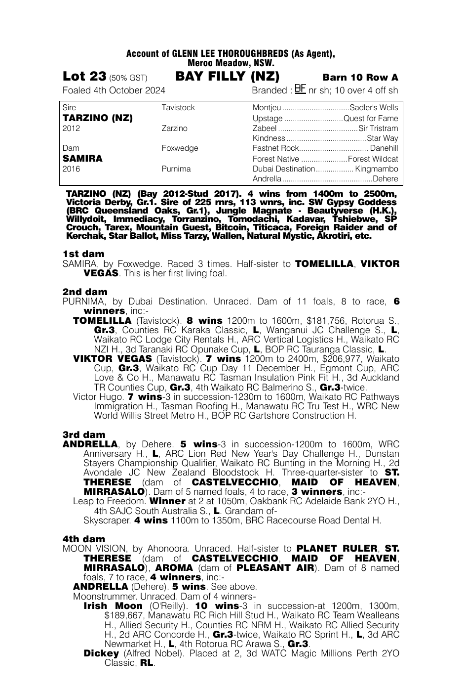 Pedigree - Lot 23
