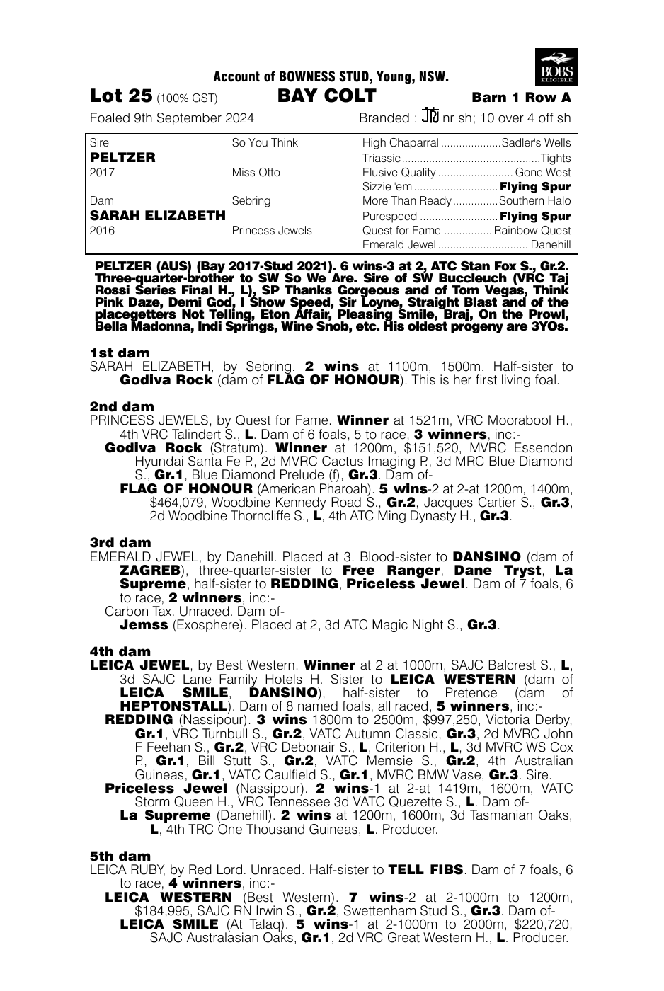 Pedigree - Lot 25