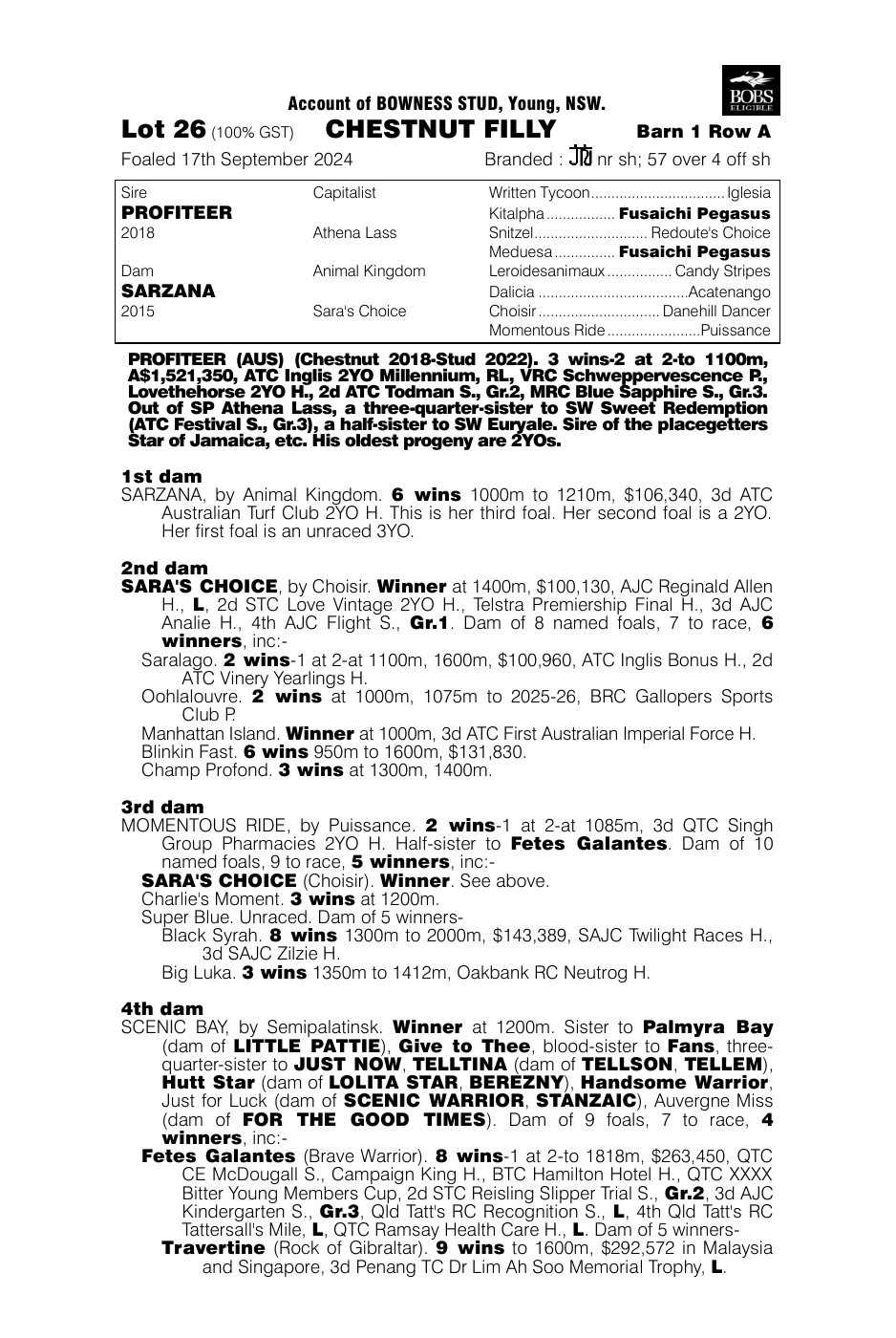 Pedigree - Lot 26