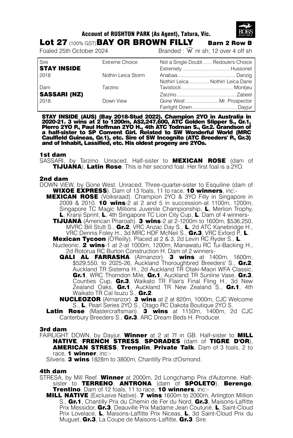 Pedigree - Lot 27