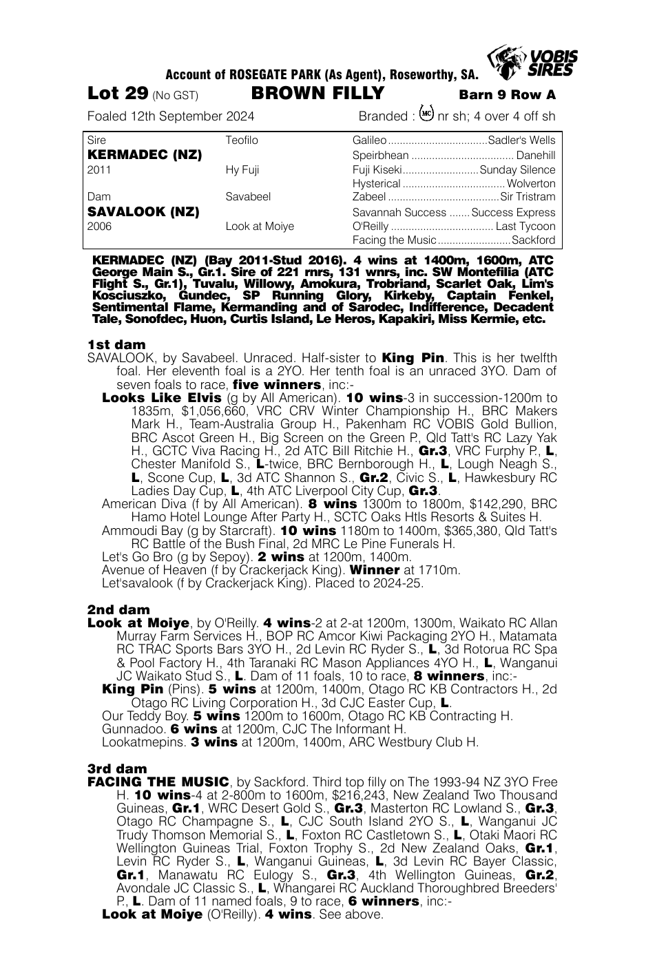 Pedigree - Lot 29