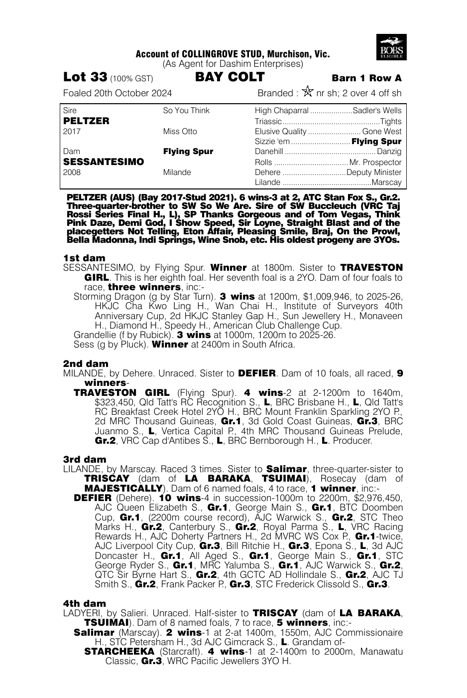 Pedigree - Lot 33