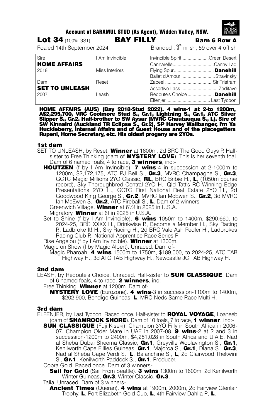 Pedigree - Lot 34