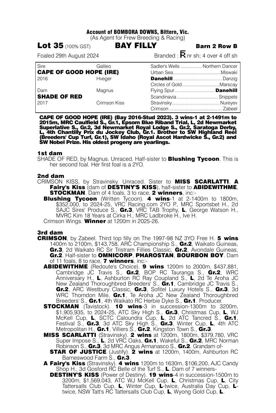 Pedigree - Lot 35