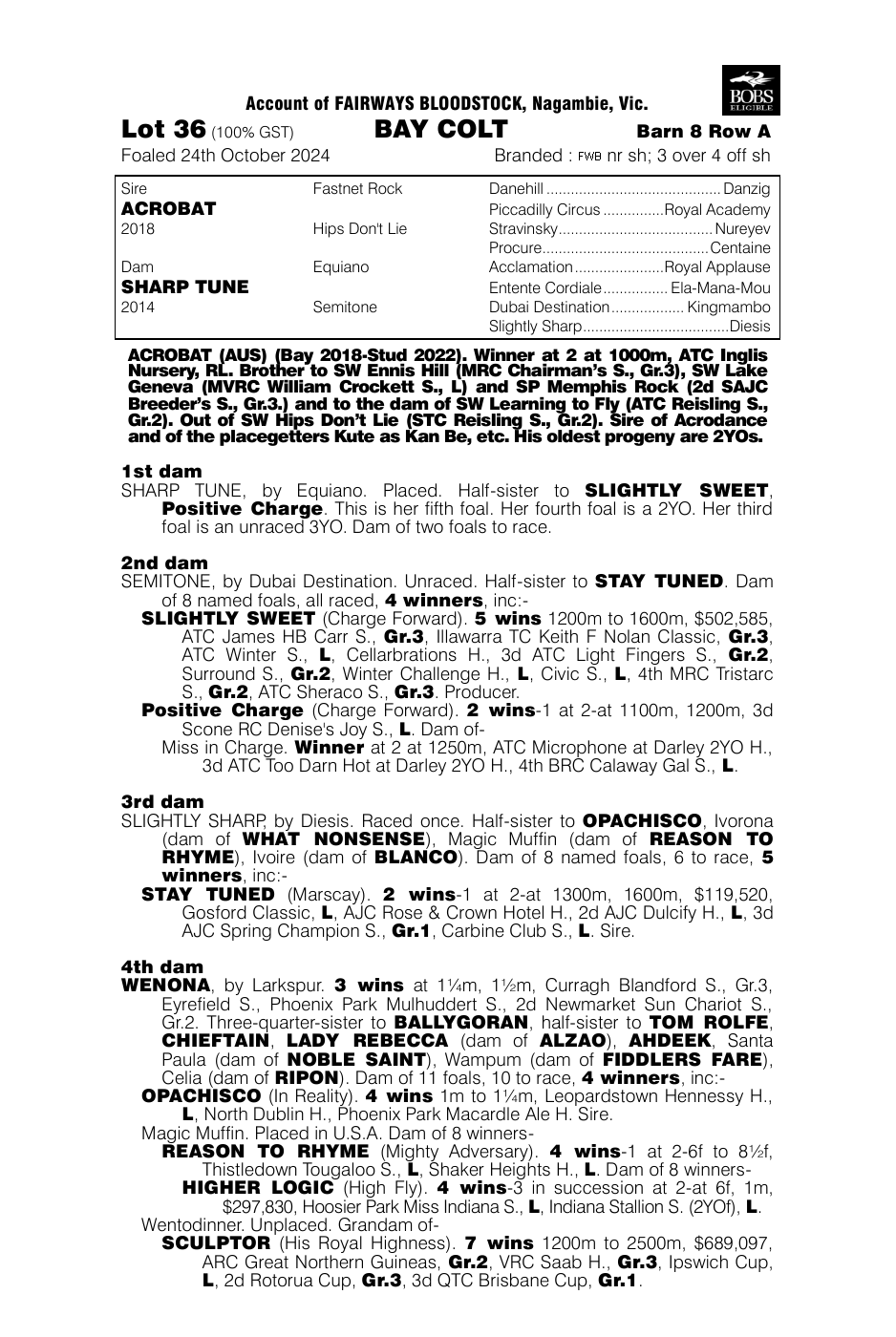 Pedigree - Lot 36