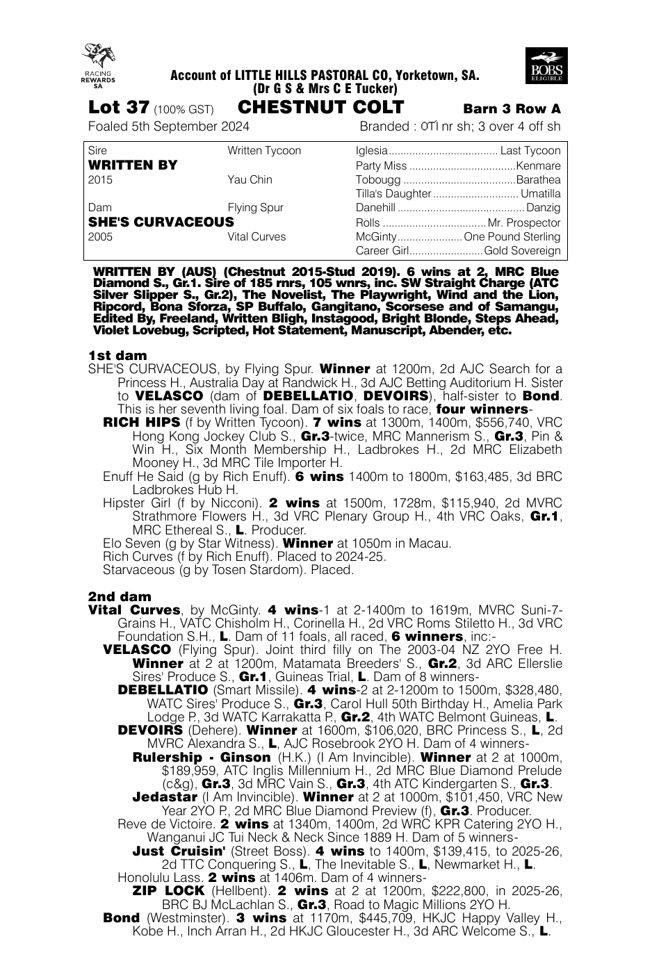 Pedigree - Lot 37