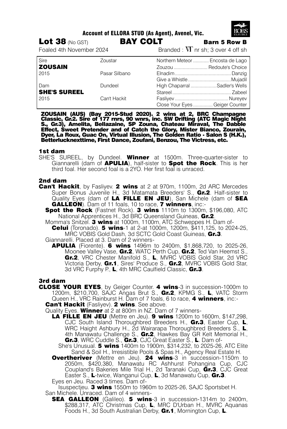 Pedigree - Lot 38