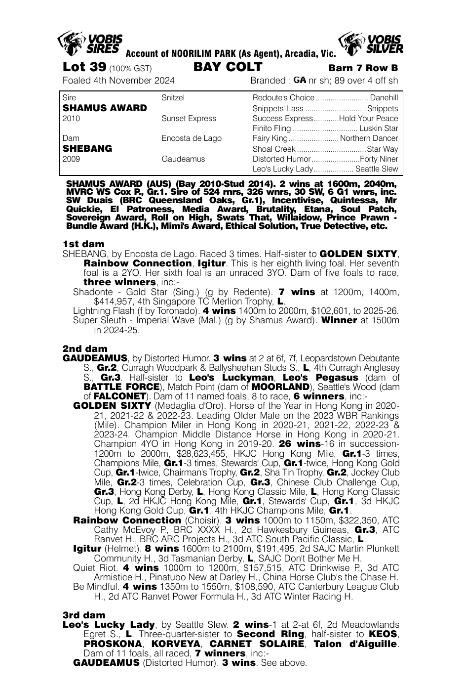 Pedigree - Lot 39
