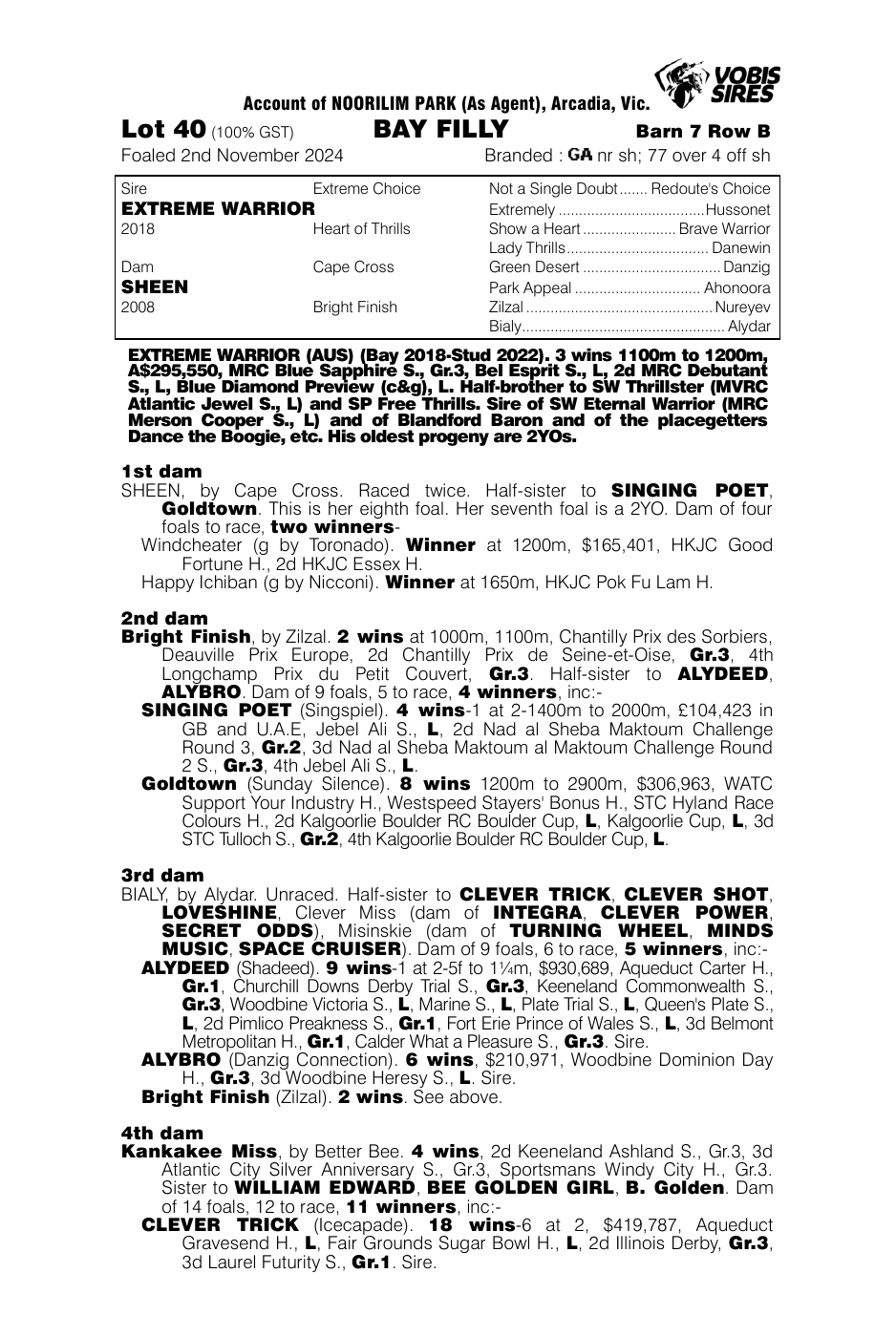 Pedigree - Lot 40
